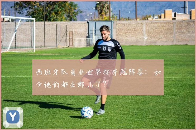 西班牙队南非世界杯夺冠阵容：如今他们都去哪儿了？