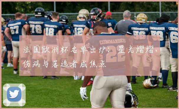法国欧洲杯名单出炉：星光熠熠，伤病与落选者成焦点