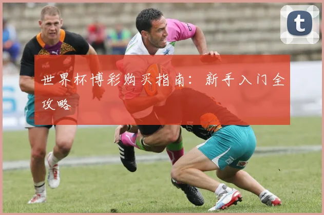 世界杯博彩购买指南：新手入门全攻略