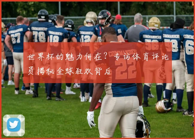 世界杯的魅力何在？专访体育评论员揭秘全球狂欢背后