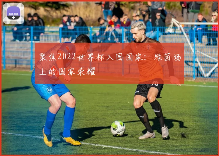 聚焦2022世界杯入围国家：绿茵场上的国家荣耀