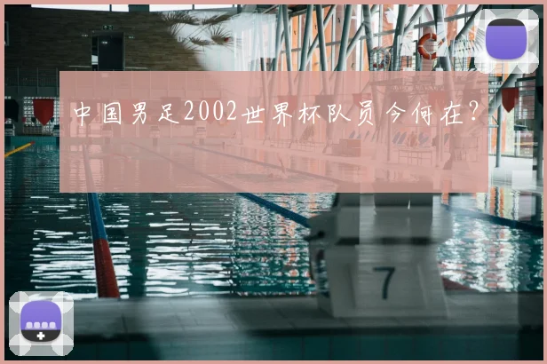 中国男足2002世界杯队员今何在?